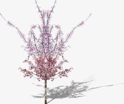 粉色花朵树林植物装饰素材