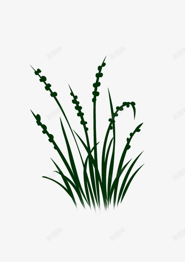 绘画植物png免抠素材_88icon https://88icon.com 绘画植物 绿色 自然 草