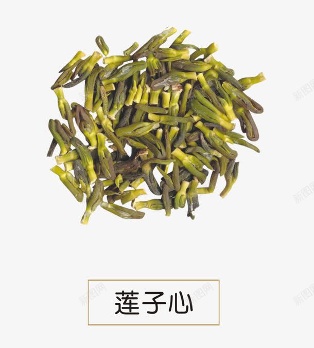 莲子心png免抠素材_88icon https://88icon.com 中医 中草药 中药 草药