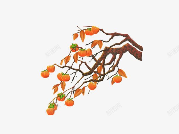 柿子树卡通png免抠素材_88icon https://88icon.com 柿子 树 矢量卡通 矢量素材 素材