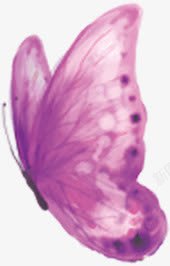 紫色飞舞蝴蝶素材