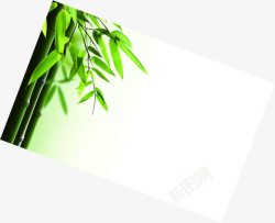 绿色竹叶清新装饰素材