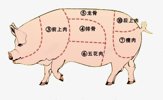 卡通猪png免抠素材_88icon https://88icon.com 猪肉 猪肉区分 粉色