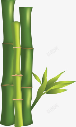 美容院植物绿色竹林矢量图素材