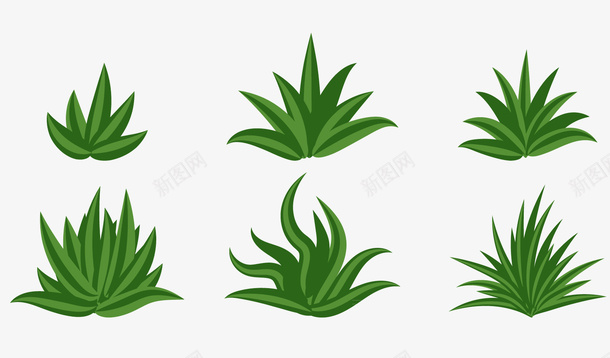 不同形态的绿色草png免抠素材_88icon https://88icon.com 不同形态的草 植物 绿色的 绿色的草 草