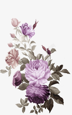 手绘彩色花卉素材