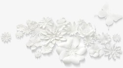 白色花朵立体花朵装饰素材