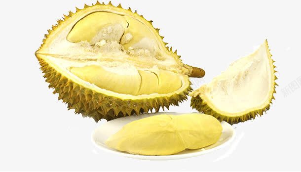榴莲png免抠素材_88icon https://88icon.com 榴莲 美味榴莲 金枕头