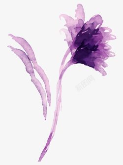 紫色水彩画康乃馨素材