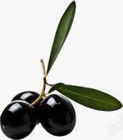 黑色果实植物装饰png免抠素材_88icon https://88icon.com 果实 植物 装饰 黑色