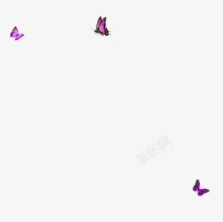 漂浮的紫色蝴蝶素材
