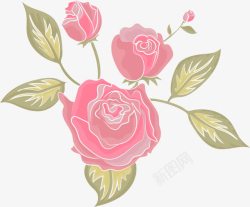 粉色玫瑰花素材