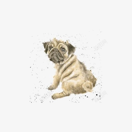 沙皮犬插画png免抠素材_88icon https://88icon.com 卡通小狗 宠物狗 小狗插画 手绘小狗 水彩小狗 沙皮插画