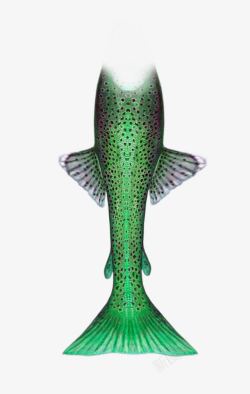 绿色斑点创意美人鱼尾巴素材
