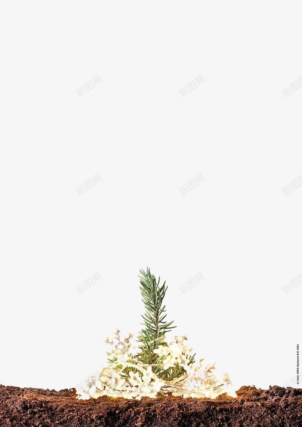 土壤保护小草家居无尘宣传海报png免抠素材_88icon https://88icon.com 呵护 土壤 无尘 杂草 树叶