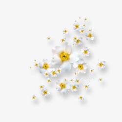创意合成效果摄影白色的小花素材