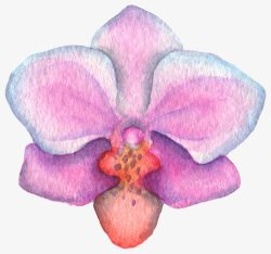清新森系水彩粉红色花朵素材