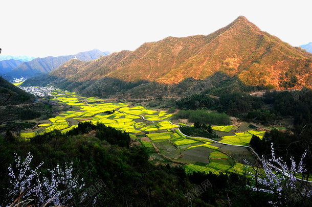 四川盆地中的农田png免抠素材_88icon https://88icon.com 农田 四川盆地 山峰 山脉 树林 植物 盆地 绿色 绿色盆地
