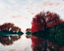 河水红色树背景素材