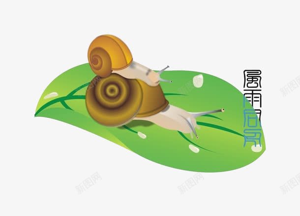 两只蜗牛png免抠素材_88icon https://88icon.com 卡通 可爱 蜗牛