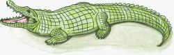 手绘风格浅绿色鳄鱼矢量图素材
