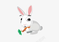 吃萝卜小白兔素材