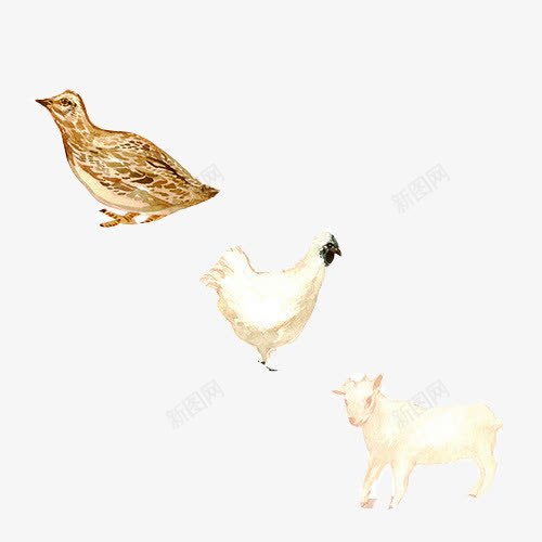 家禽手绘画片png免抠素材_88icon https://88icon.com 山羊 手绘家禽 白色母鸡 色彩画