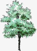 手绘绿色园林植物装饰png免抠素材_88icon https://88icon.com 园林 植物 绿色 装饰