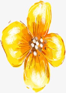 艺术展板艳色黄花艺术展板高清图片