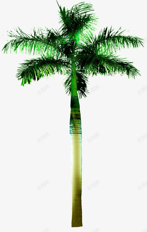 摄影创意合成绿色的棕榈树png免抠素材_88icon https://88icon.com 创意 合成 摄影 棕榈树 绿色