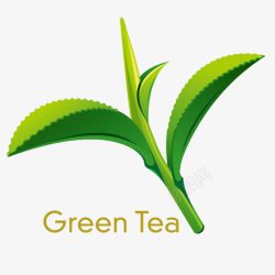 绿茶叶叶子手绘绿茶叶子高清图片