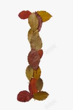 叶子摆放红色叶子字母形状高清图片
