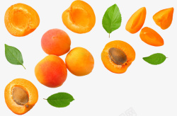 黄桃叶子水果黄桃叶子高清图片