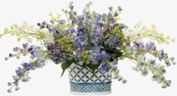 紫色花卉青花瓷花瓶插花素材