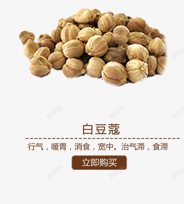 白豆蔻png免抠素材_88icon https://88icon.com 中医 中医保健 中药材 草药