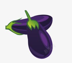 长茄紫色茄子高清图片