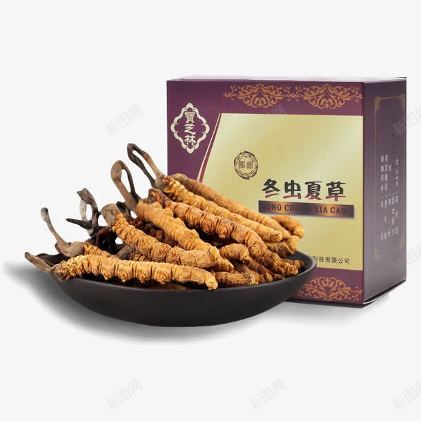 冬虫夏草png免抠素材_88icon https://88icon.com 冬虫 夏草 药材