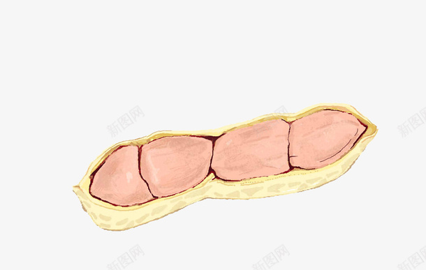 手绘花生矢量图eps免抠素材_88icon https://88icon.com 花生 食物 餐饮 矢量图