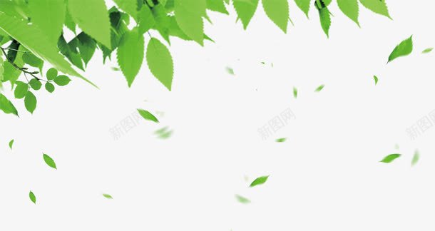 创意海报绿色植物树叶效果png免抠素材_88icon https://88icon.com 创意 效果 树叶 海报 绿色植物
