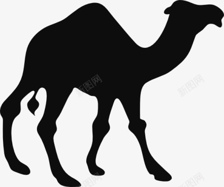 黑色的骆驼图标图标