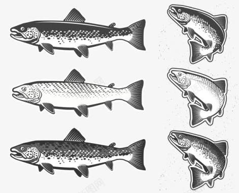俱乐部logo各式鱼矢量图图标图标