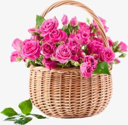 粉色可爱花朵花篮素材