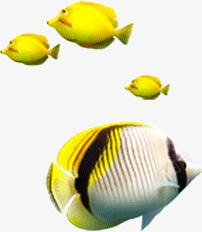 黄色可爱条纹鱼素材