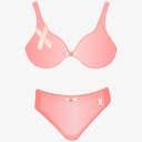 bra内衣胸罩pinkribbonicons图标高清图片