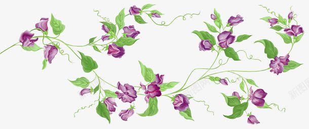 紫色手绘花朵背景png免抠素材_88icon https://88icon.com 紫色花朵 背景 花朵 花朵背景