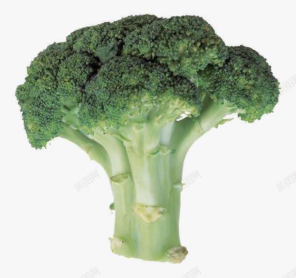 一颗花椰菜png免抠素材_88icon https://88icon.com png png素材 产品实物 时令蔬菜 蔬菜 西兰花 食物