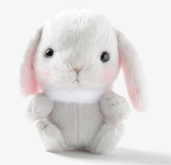 灰白色垂耳兔公仔素材