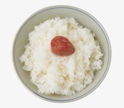 米饭带红枣素材