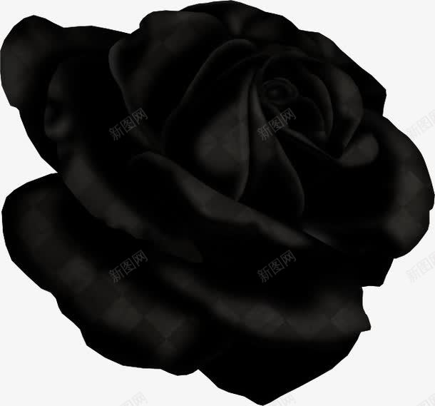 黑色玫瑰png免抠素材_88icon https://88icon.com 玫瑰 纯黑 花卉 装饰物