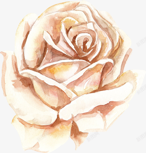 白色手绘的玫瑰花png免抠素材_88icon https://88icon.com png图形 手绘 植物 玫瑰花 花卉 花朵 装饰